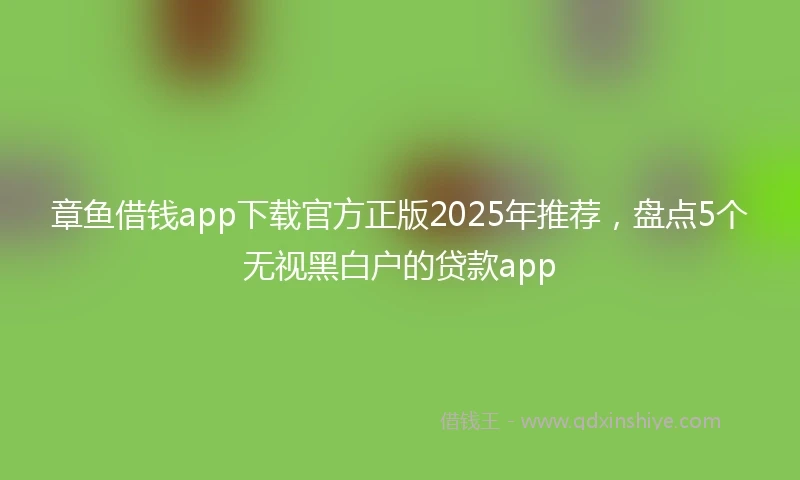 章鱼借钱app下载官方正版2025年推荐，盘点5个无视黑白户的贷款app