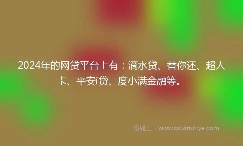 2024年的网贷平台上有：滴水贷、替你还、超人卡、平安i贷、度小满金融等。
