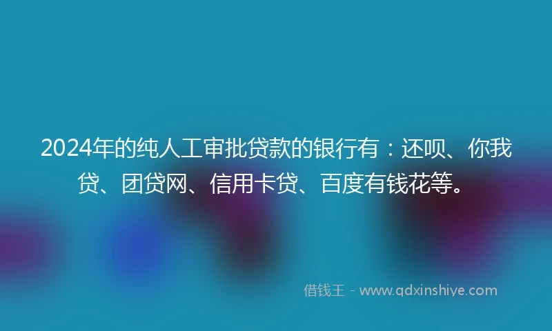 2024年的纯人工审批贷款的银行有：还呗、你我贷、团贷网、信用卡贷、百度有钱花等。