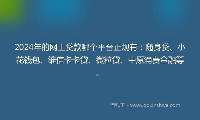 2024年的网上贷款哪个平台正规有：随身贷、小花钱包、维信卡卡贷、微粒贷、中原消费金融等。