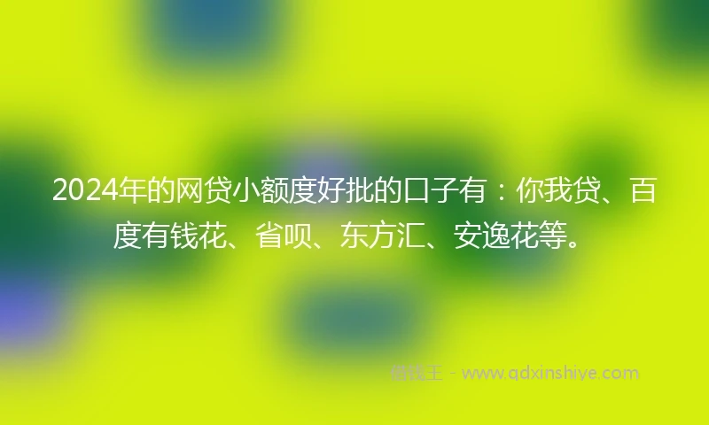 2024年的网贷小额度好批的口子有：你我贷、百度有钱花、省呗、东方汇、安逸花等。