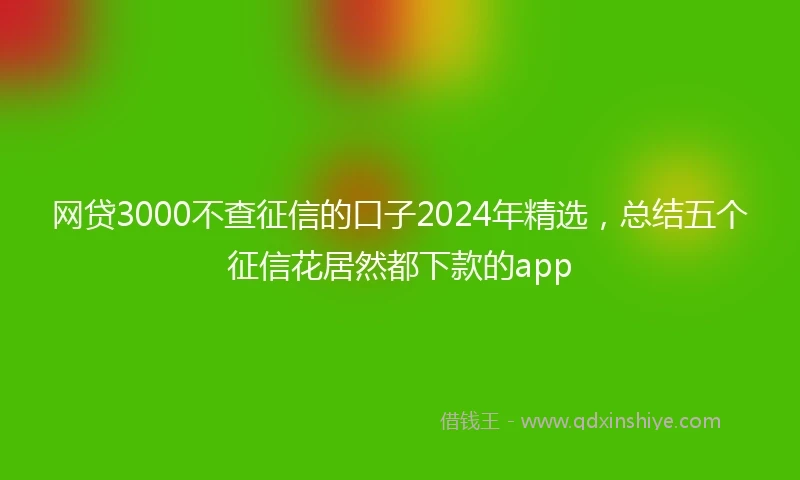 网贷3000不查征信的口子2024年精选，总结五个征信花居然都下款的app