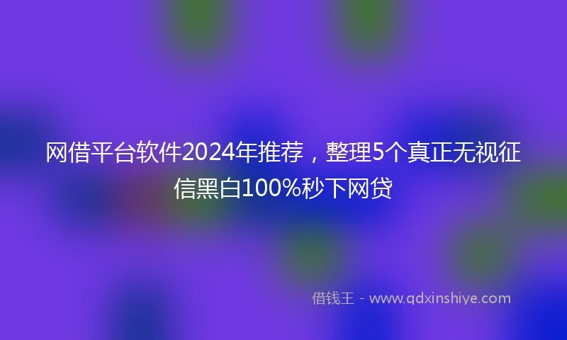 网借平台软件2024年推荐，整理5个真正无视征信黑白100%秒下网贷