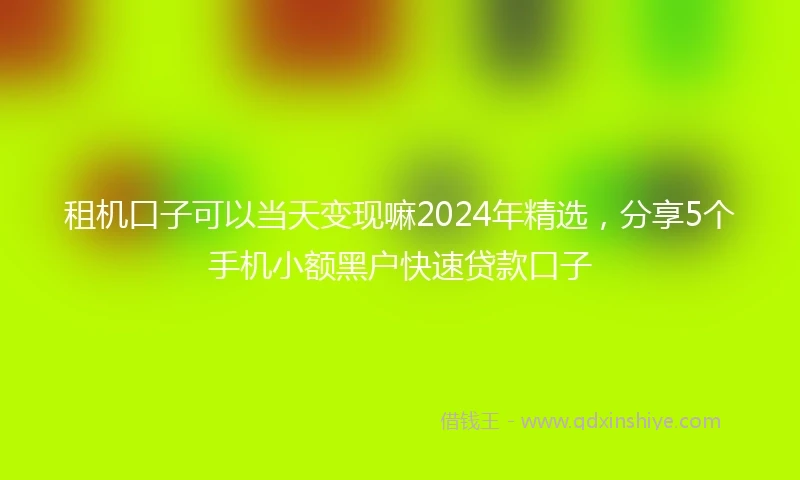 租机口子可以当天变现嘛2024年精选，分享5个手机小额黑户快速贷款口子
