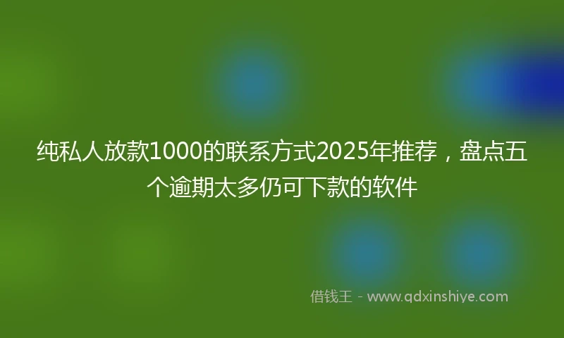 纯私人放款1000的联系方式2025年推荐，盘点五个逾期太多仍可下款的软件