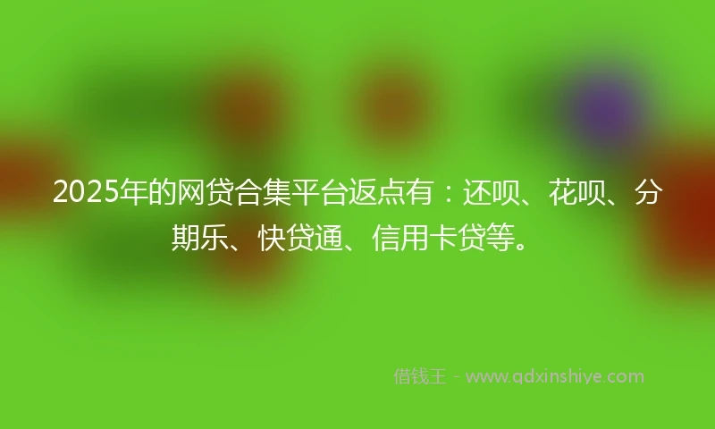 2025年的网贷合集平台返点有：还呗、花呗、分期乐、快贷通、信用卡贷等。