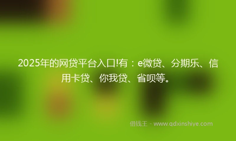 2025年的网贷平台入口!有：e微贷、分期乐、信用卡贷、你我贷、省呗等。