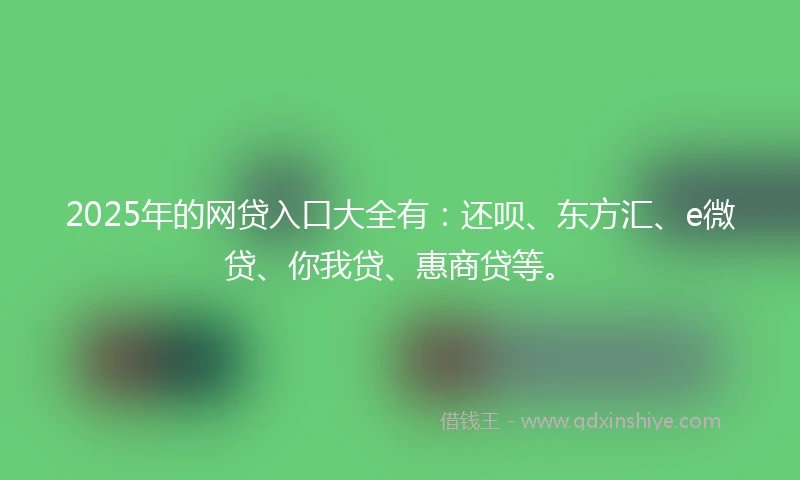 2025年的网贷入口大全有：还呗、东方汇、e微贷、你我贷、惠商贷等。