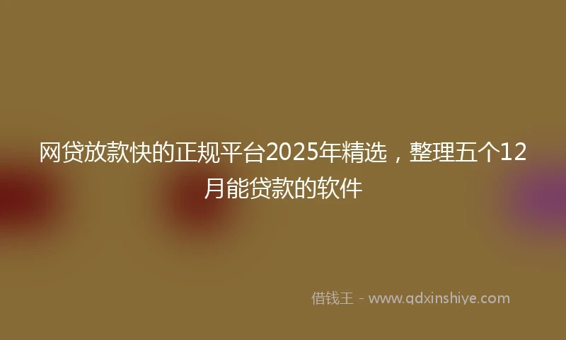 网贷放款快的正规平台2025年精选，整理五个12月能贷款的软件