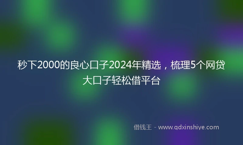 秒下2000的良心口子2024年精选，梳理5个网贷大口子轻松借平台
