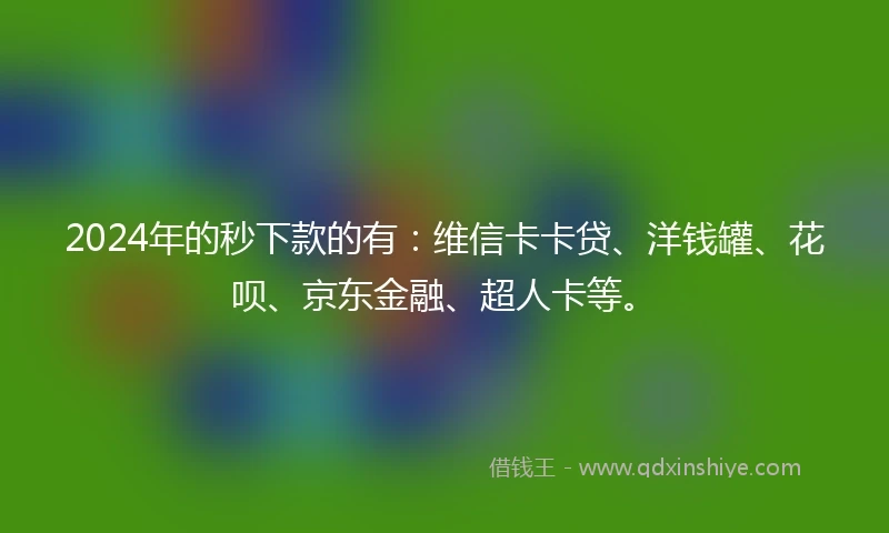 2024年的秒下款的有：维信卡卡贷、洋钱罐、花呗、京东金融、超人卡等。