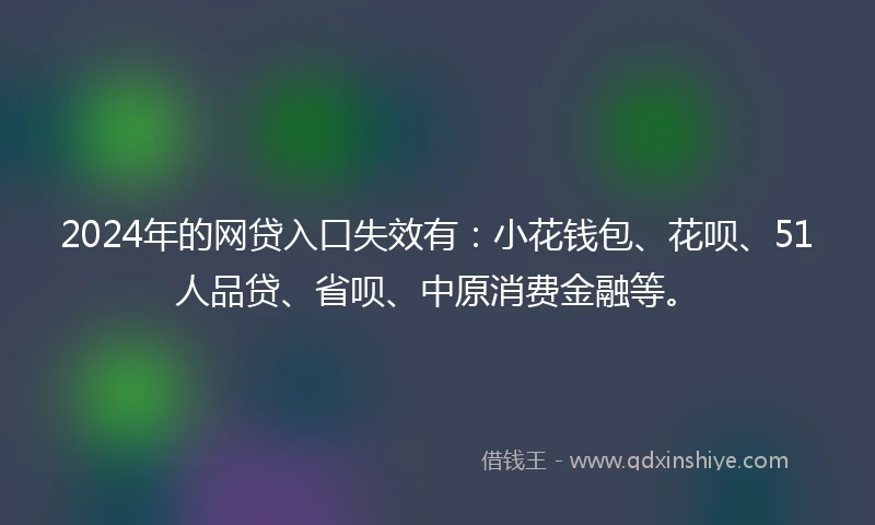 2024年的网贷入口失效有：小花钱包、花呗、51人品贷、省呗、中原消费金融等。