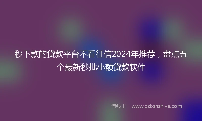 秒下款的贷款平台不看征信2024年推荐，盘点五个最新秒批小额贷款软件