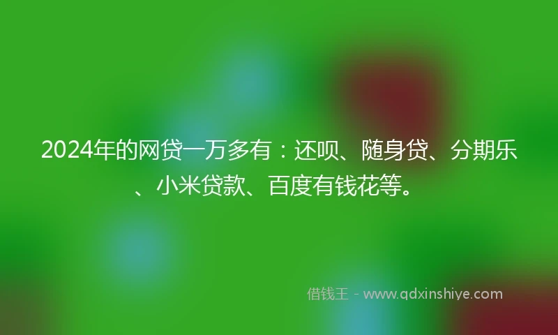 2024年的网贷一万多有：还呗、随身贷、分期乐、小米贷款、百度有钱花等。