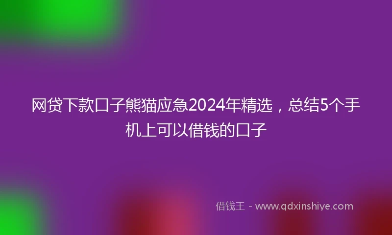 网贷下款口子熊猫应急2024年精选，总结5个手机上可以借钱的口子