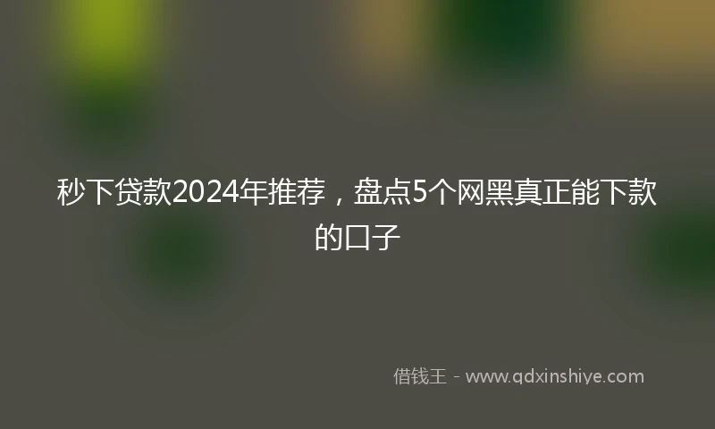 秒下贷款2024年推荐，盘点5个网黑真正能下款的口子