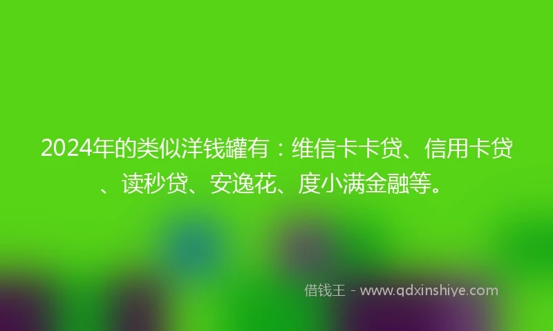 2024年的类似洋钱罐有：维信卡卡贷、信用卡贷、读秒贷、安逸花、度小满金融等。