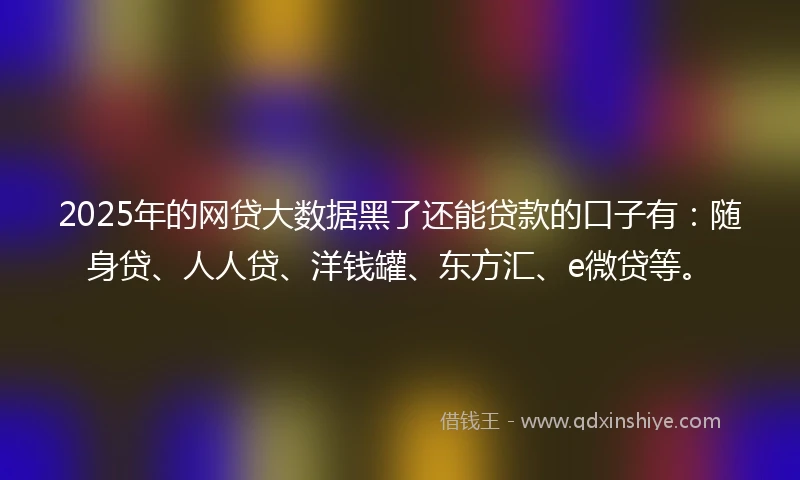 2025年的网贷大数据黑了还能贷款的口子有：随身贷、人人贷、洋钱罐、东方汇、e微贷等。