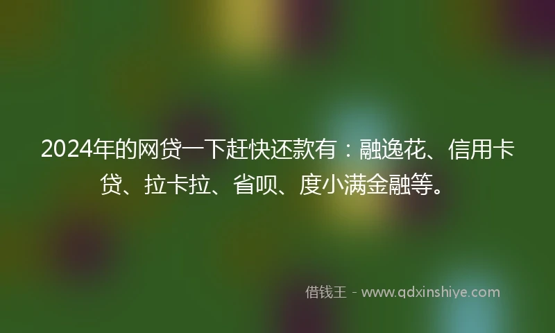 2024年的网贷一下赶快还款有：融逸花、信用卡贷、拉卡拉、省呗、度小满金融等。
