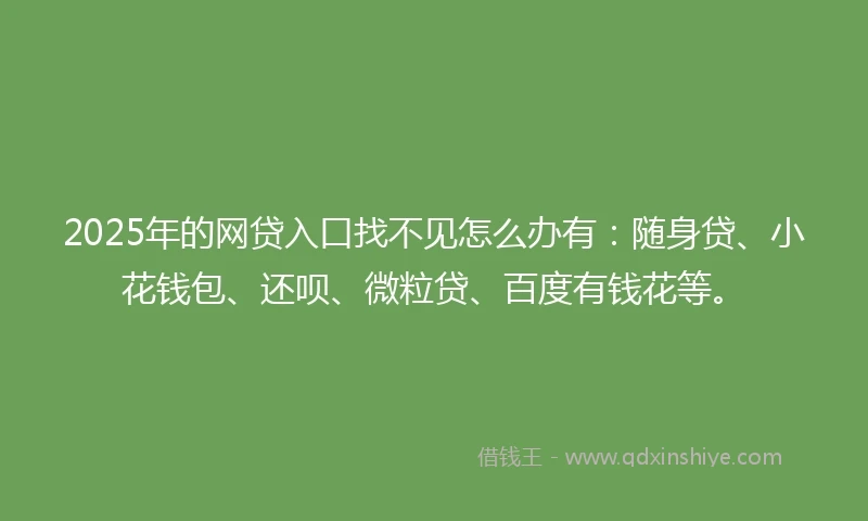 2025年的网贷入口找不见怎么办有：随身贷、小花钱包、还呗、微粒贷、百度有钱花等。