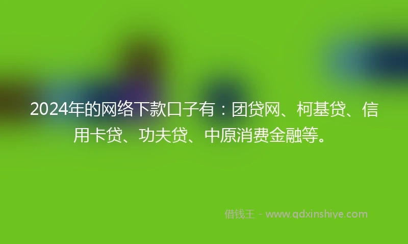 2024年的网络下款口子有：团贷网、柯基贷、信用卡贷、功夫贷、中原消费金融等。