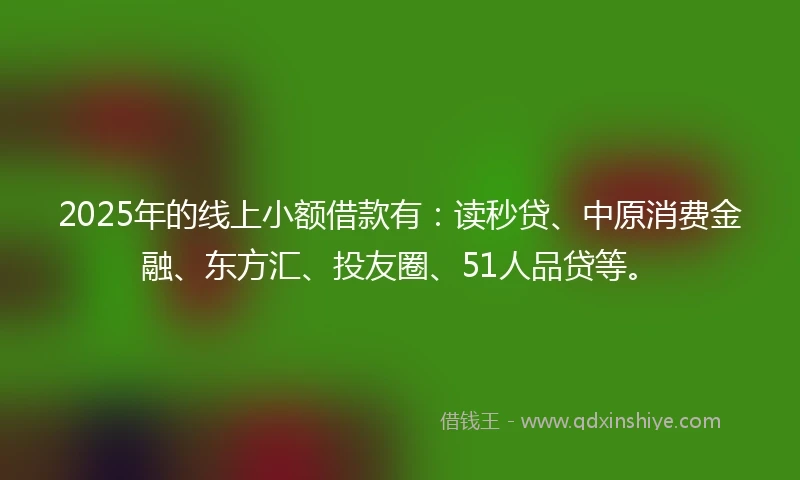 2025年的线上小额借款有：读秒贷、中原消费金融、东方汇、投友圈、51人品贷等。
