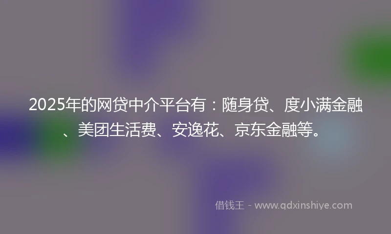 2025年的网贷中介平台有：随身贷、度小满金融、美团生活费、安逸花、京东金融等。