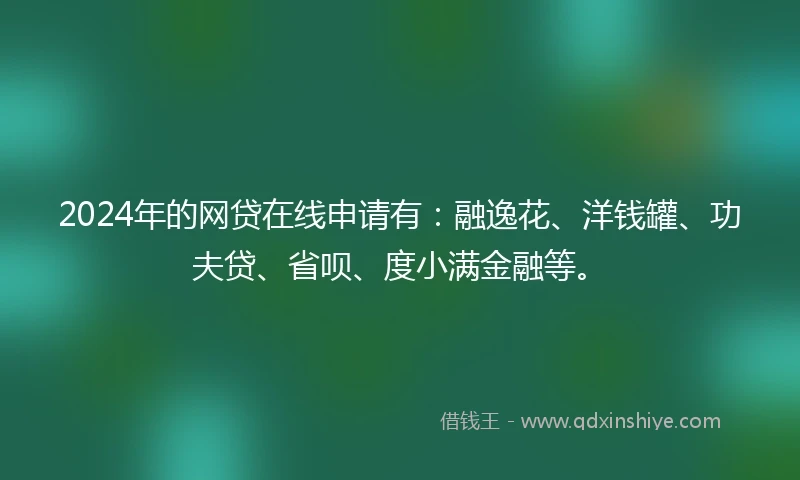 2024年的网贷在线申请有：融逸花、洋钱罐、功夫贷、省呗、度小满金融等。