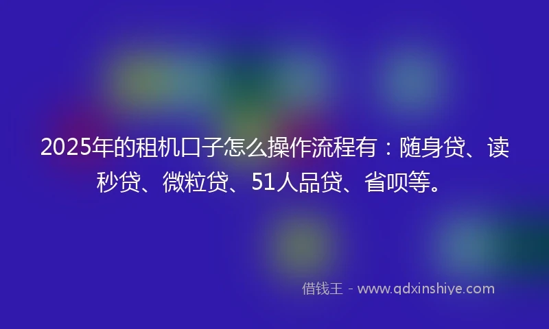 2025年的租机口子怎么操作流程有：随身贷、读秒贷、微粒贷、51人品贷、省呗等。