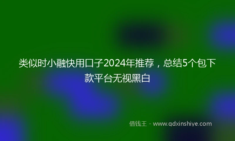 类似时小融快用口子2024年推荐，总结5个包下款平台无视黑白