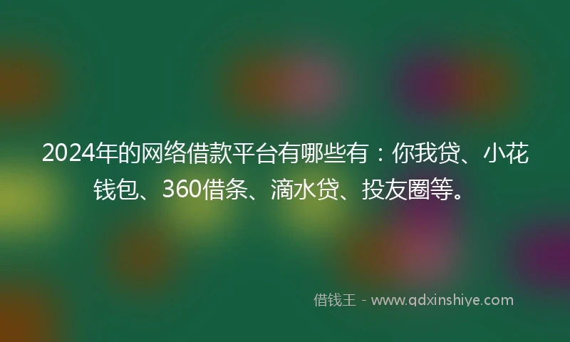2024年的网络借款平台有哪些有：你我贷、小花钱包、360借条、滴水贷、投友圈等。