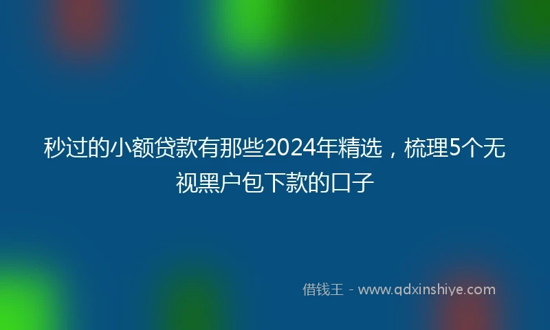 秒过的小额贷款有那些2024年精选，梳理5个无视黑户包下款的口子