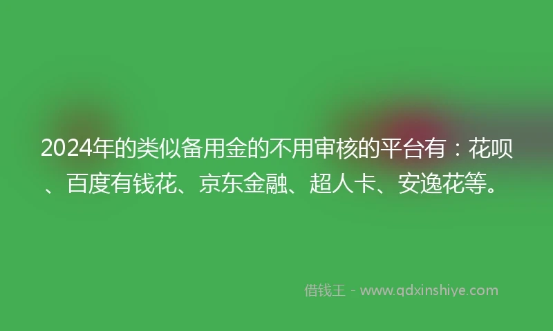2024年的类似备用金的不用审核的平台有：花呗、百度有钱花、京东金融、超人卡、安逸花等。
