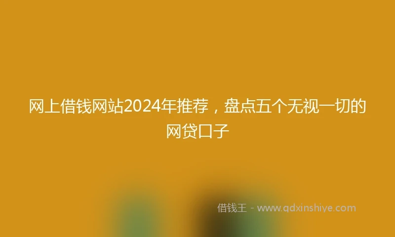 网上借钱网站2024年推荐，盘点五个无视一切的网贷口子