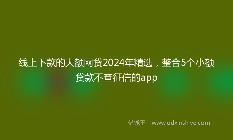 线上下款的大额网贷2024年精选，整合5个小额贷款不查征信的app