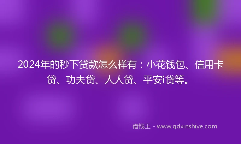 2024年的秒下贷款怎么样有：小花钱包、信用卡贷、功夫贷、人人贷、平安i贷等。