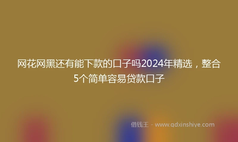 网花网黑还有能下款的口子吗2024年精选，整合5个简单容易贷款口子