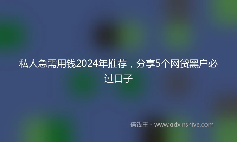 私人急需用钱2024年推荐，分享5个网贷黑户必过口子