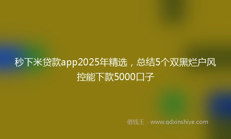 秒下米贷款app2025年精选，总结5个双黑烂户风控能下款5000口子