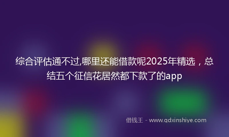 综合评估通不过,哪里还能借款呢2025年精选，总结五个征信花居然都下款了的app