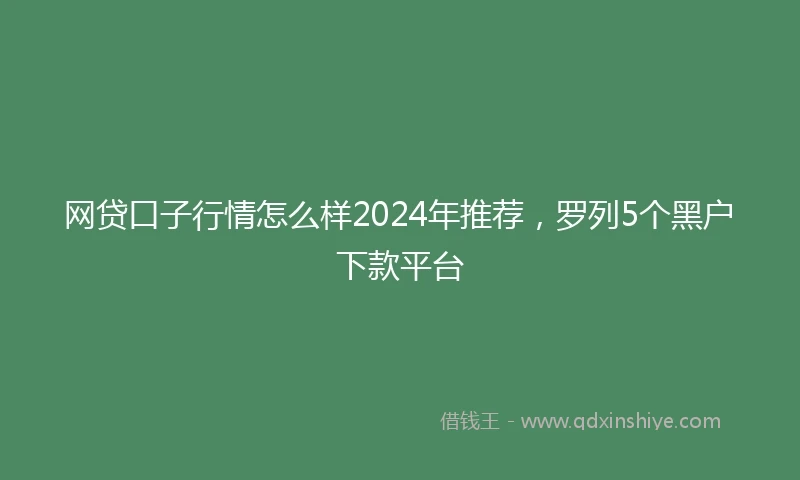 网贷口子行情怎么样2024年推荐，罗列5个黑户下款平台