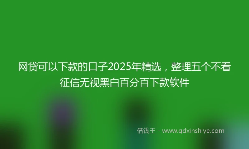网贷可以下款的口子2025年精选，整理五个不看征信无视黑白百分百下款软件