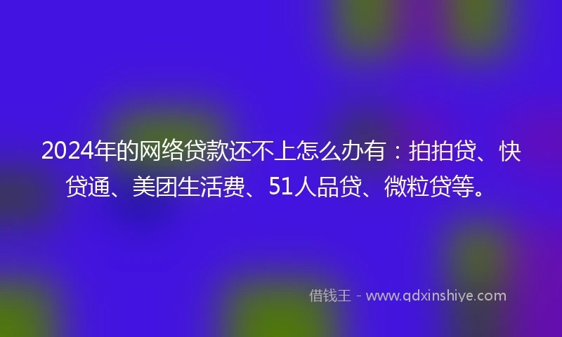 2024年的网络贷款还不上怎么办有：拍拍贷、快贷通、美团生活费、51人品贷、微粒贷等。