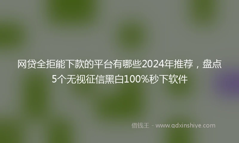 网贷全拒能下款的平台有哪些2024年推荐，盘点5个无视征信黑白100%秒下软件