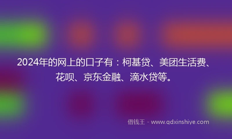 2024年的网上的口子有：柯基贷、美团生活费、花呗、京东金融、滴水贷等。