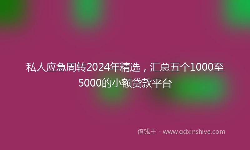 私人应急周转2024年精选，汇总五个1000至5000的小额贷款平台