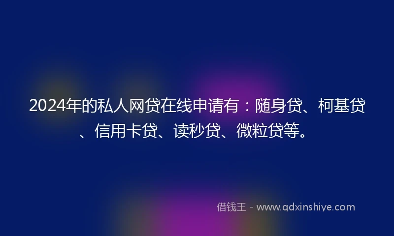 2024年的私人网贷在线申请有：随身贷、柯基贷、信用卡贷、读秒贷、微粒贷等。