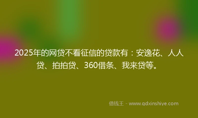 2025年的网贷不看征信的贷款有：安逸花、人人贷、拍拍贷、360借条、我来贷等。