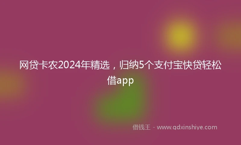 网贷卡农2024年精选，归纳5个支付宝快贷轻松借app