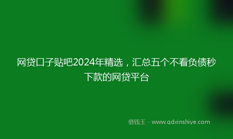 网贷口子贴吧2024年精选，汇总五个不看负债秒下款的网贷平台